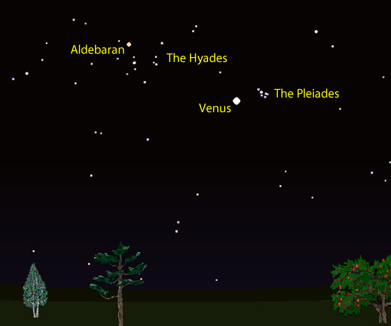 Venus, the Hyades & the Pleiades