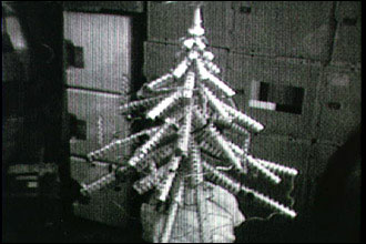 Skylab 4 Christmas tree