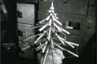 Skylab 4 tree