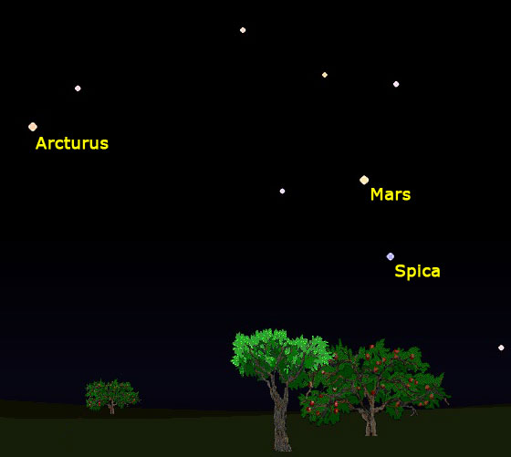 Mars in the evening sky