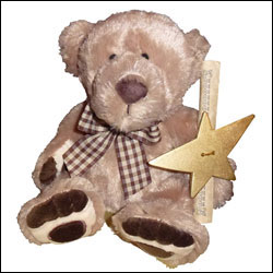 Name A Star Live's "Star Bear"