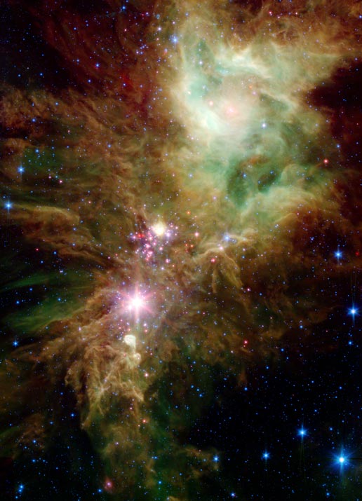 The Christmas Tree Cluster
